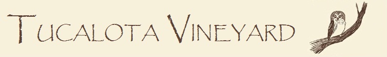 Tucalota Vineyard