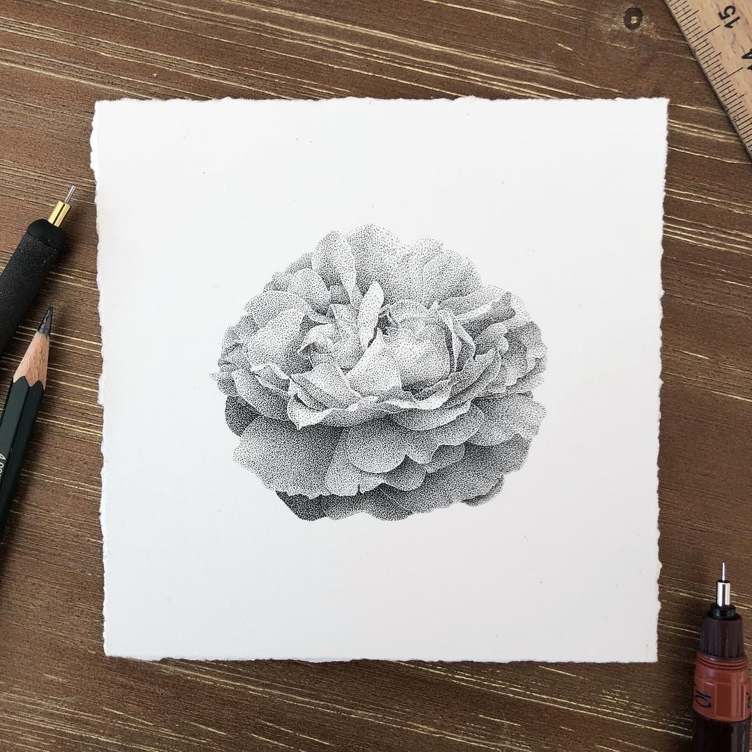10-Different-kinds-of-flower-Xavier-Casalta-Black-and-White-Stippling-Flower-Drawings-www-designstack-co