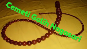 √ [CEMETI] Cambuk Kayu Nagasari Tuah dan Khasiatnya
