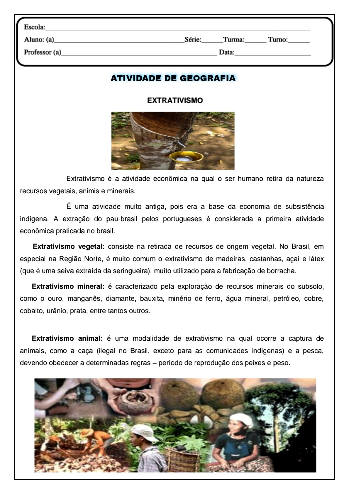 Atividades Sobre Extrativismo 3 Ano SOLOLEARN