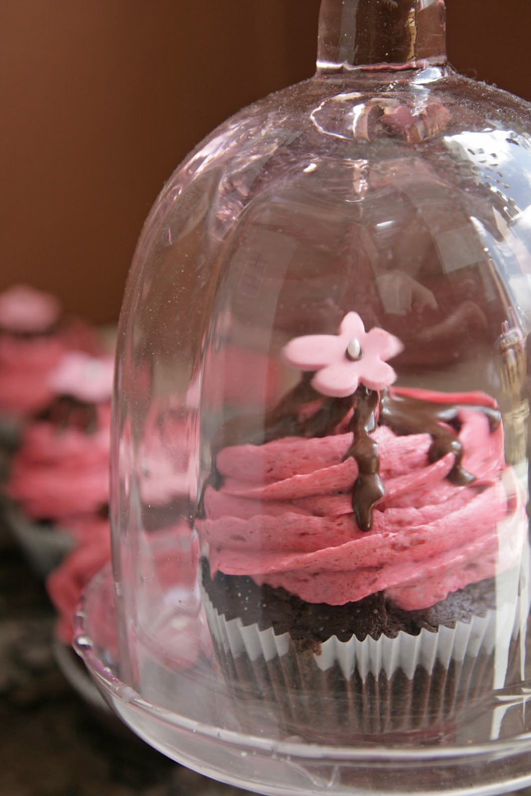 Käfers-Chaos-Küche: Gefüllte Schokoladen-Cupcakes mit Himbeercreme