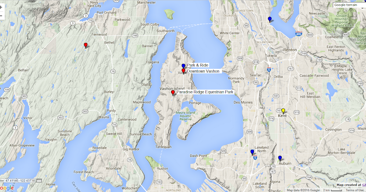 Adventures Of A Pine Cone Spider Collector 6June2016 Vashon Island