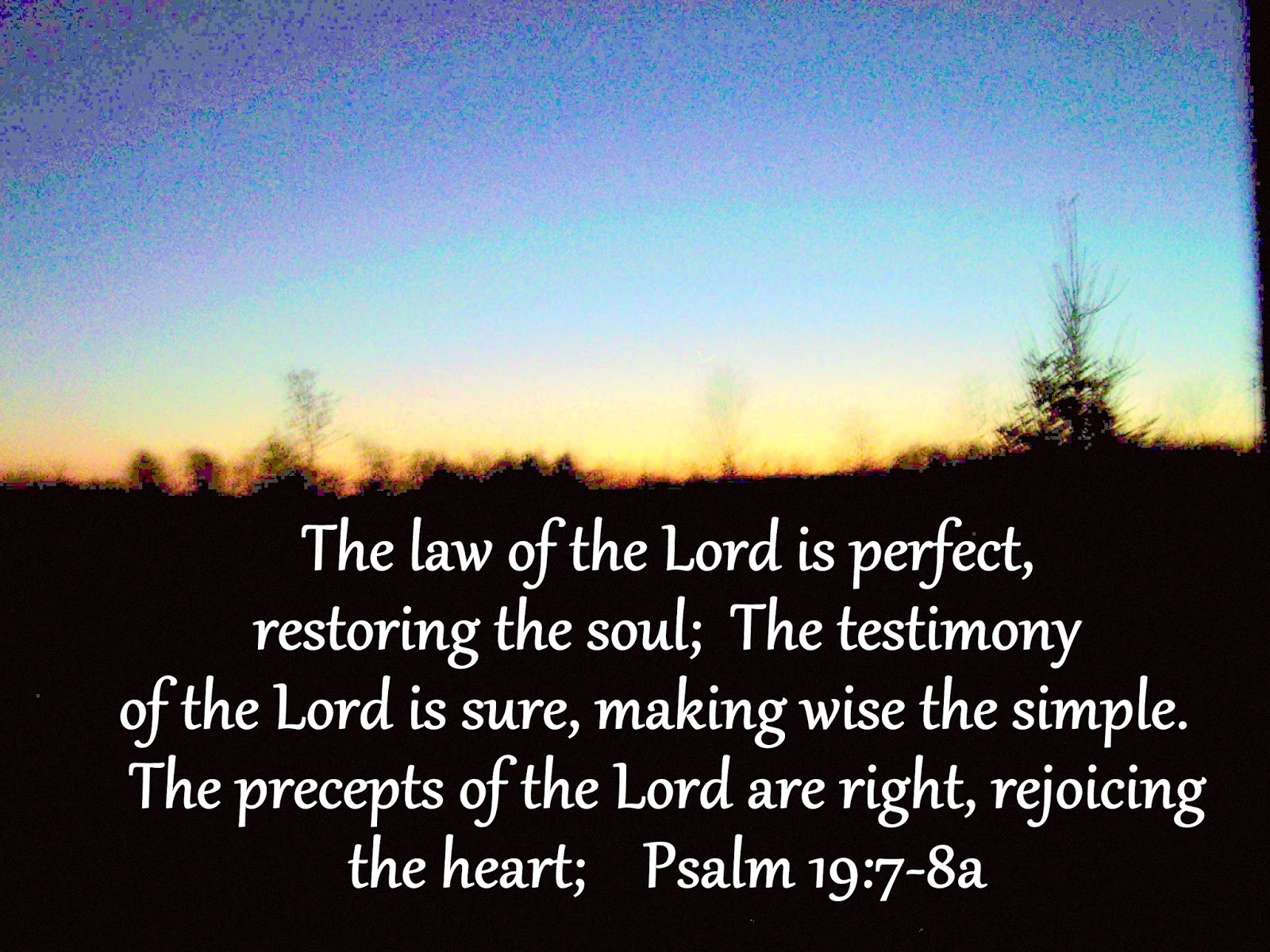 Lectionarypondering February 2018 lectionarypondering-february-2018