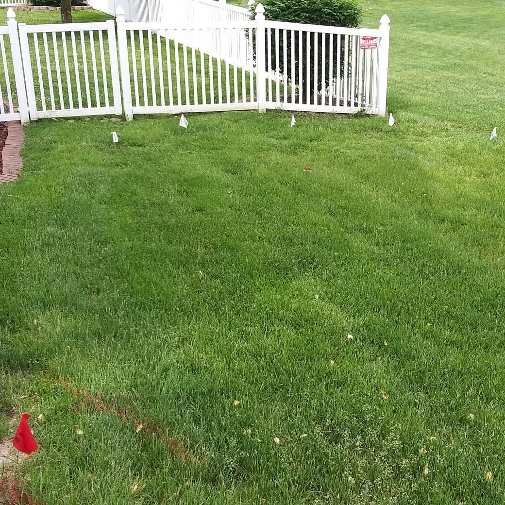 15+ DIY Cheap Dog Run Ideas Backyard for Small or Large Gardens