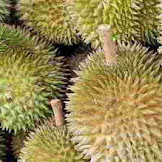 Cara Mengkonsumsi dan Memilih Buah Durian