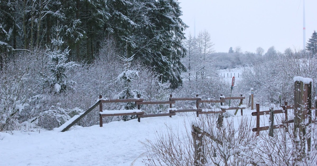 Losheimergraben (sneeuwwandeling)