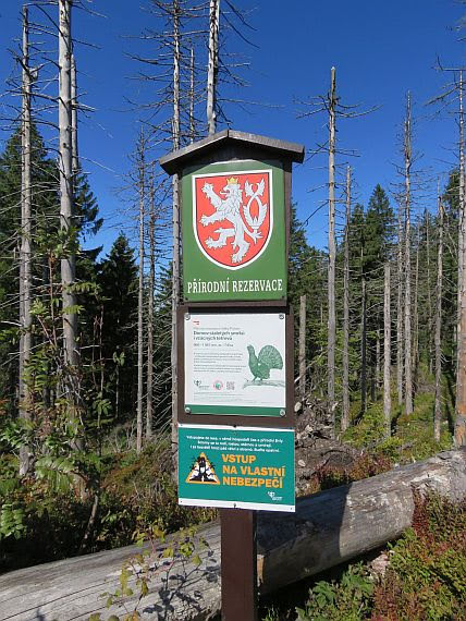 Rezerwat przyrody Velký Polom.
