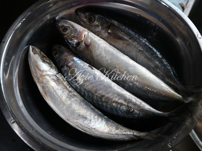 Homemade Sardine Dengan Periuk Noxxa Azie Kitchen