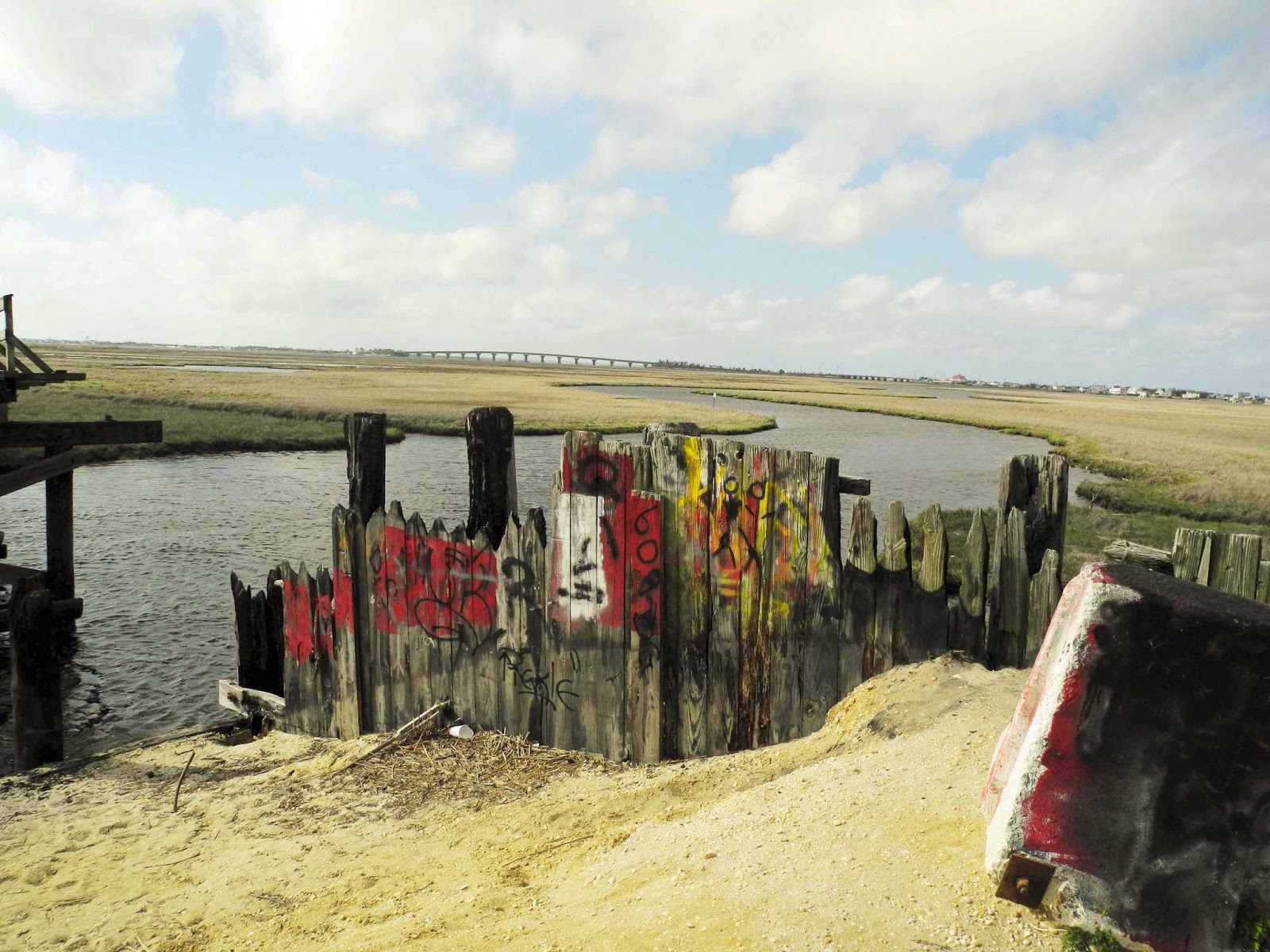 Birds & Words Manahawkin WMA 5/3Blacknecked Stilt