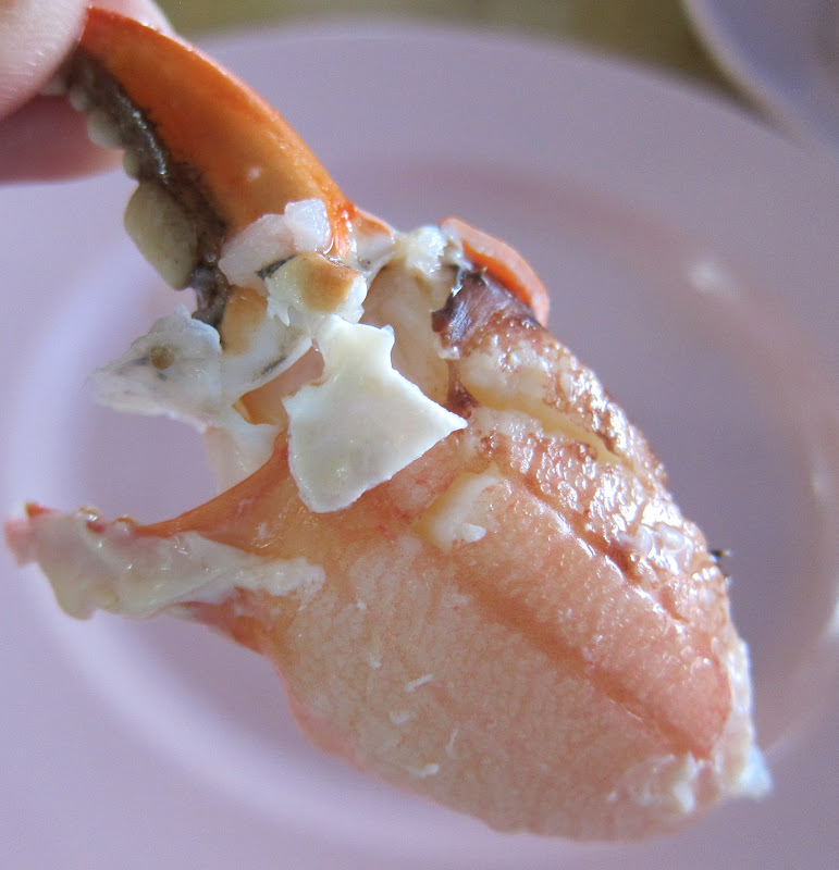 Johor Kaki Travels For Food December 2011