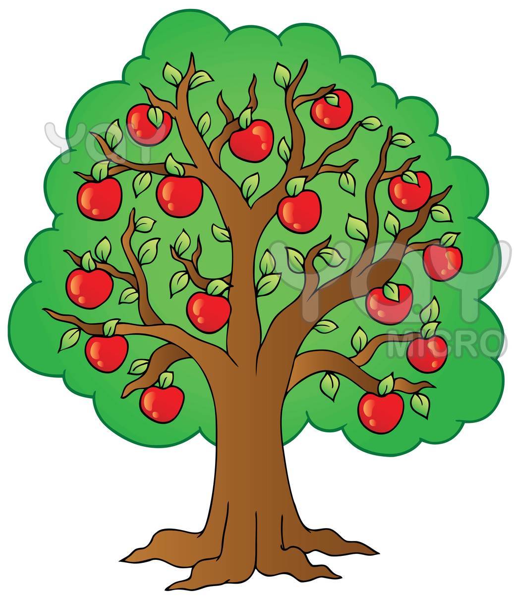 55+ Gambar Pohon Berbuah