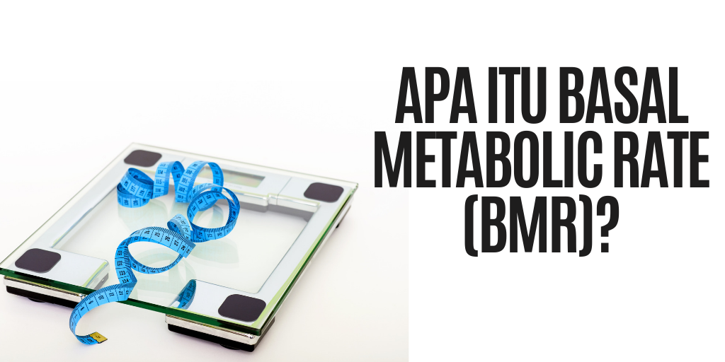 Apa Itu Basal Metabolic Rate Bmr Pengedar Shaklee Kedai Vitamin Bandar Baru Bangi