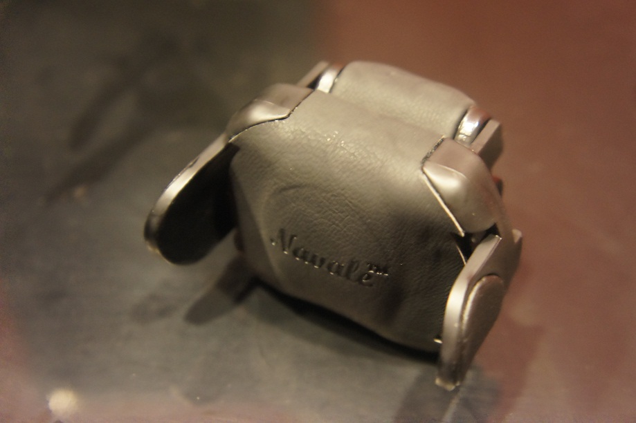 watch set with interchangeable bands