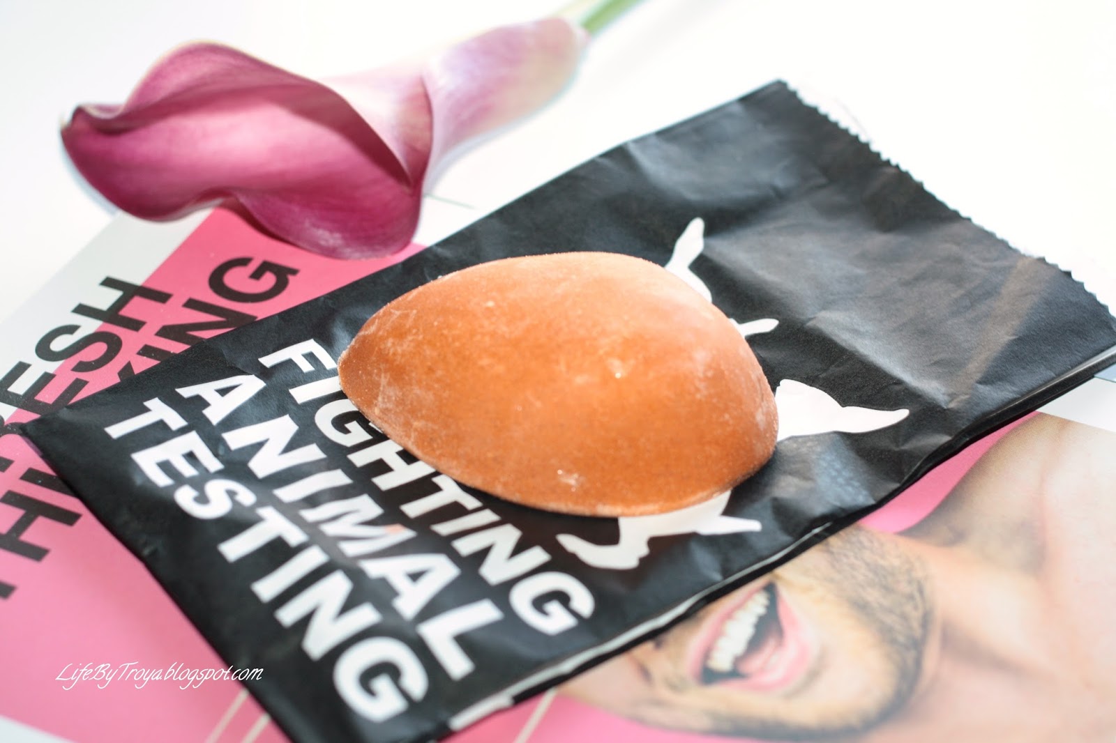 Review Lush Pumice Power Troya's Land