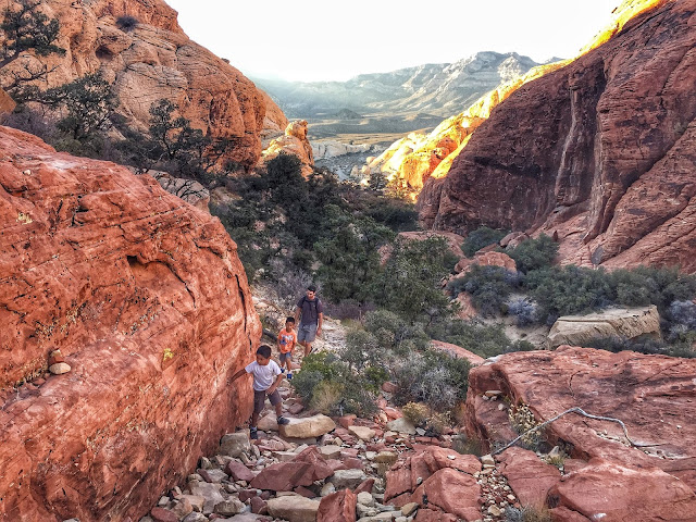 Hiking the Calico Tanks Trail 