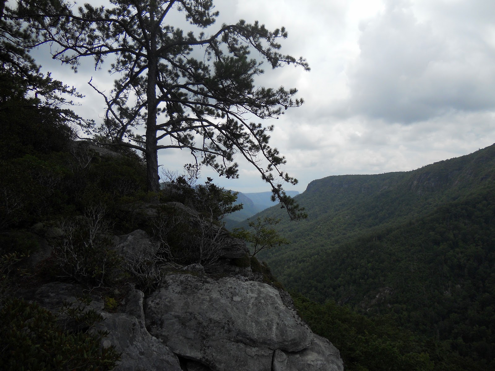Hiking with a Fat Bald White Guy: Linville Gorge - Devils Cliff