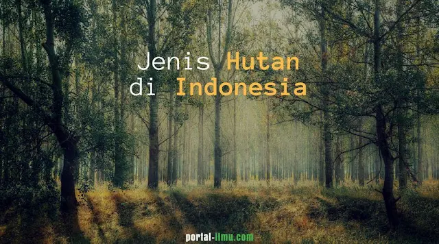 13 Jenis Hutan di Indonesia