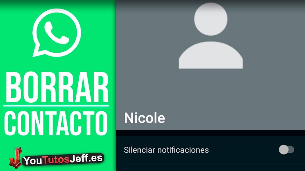 Como Eliminar un Contacto de WhatsApp