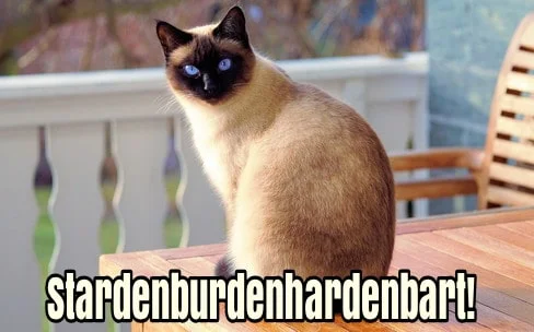 Stardenburdenhardenbart meaning in English