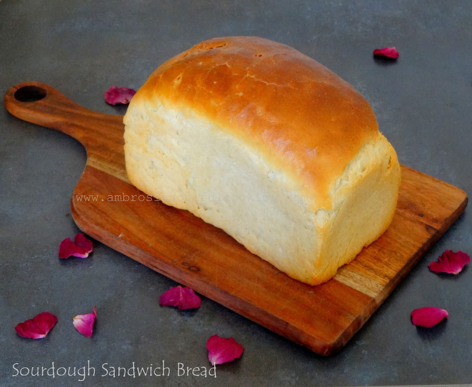 Sourdough Discard Sandwich Bread (Vegan) / BreadBakers Ambrosia