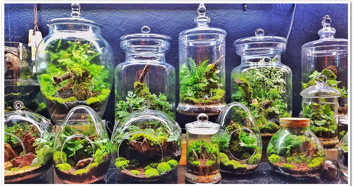 Taman Indah Dalam Botol - BLOG PERPUSTAKAAN JBPM