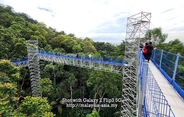 Skywalk des jardins botaniques de Kepong