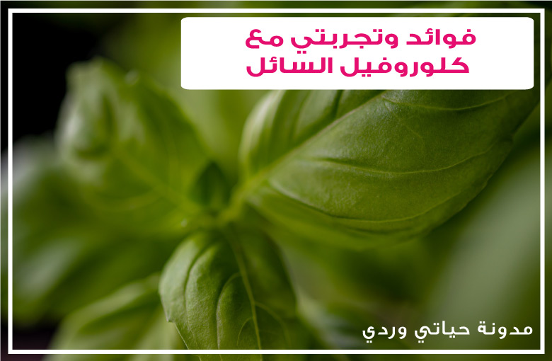 الكلوروفيل للبشرة