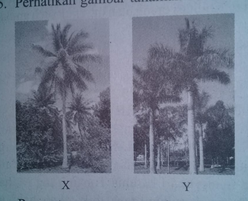 Kedua burung tersebut menunjukkan keanekaragaman tingkat jenis karena