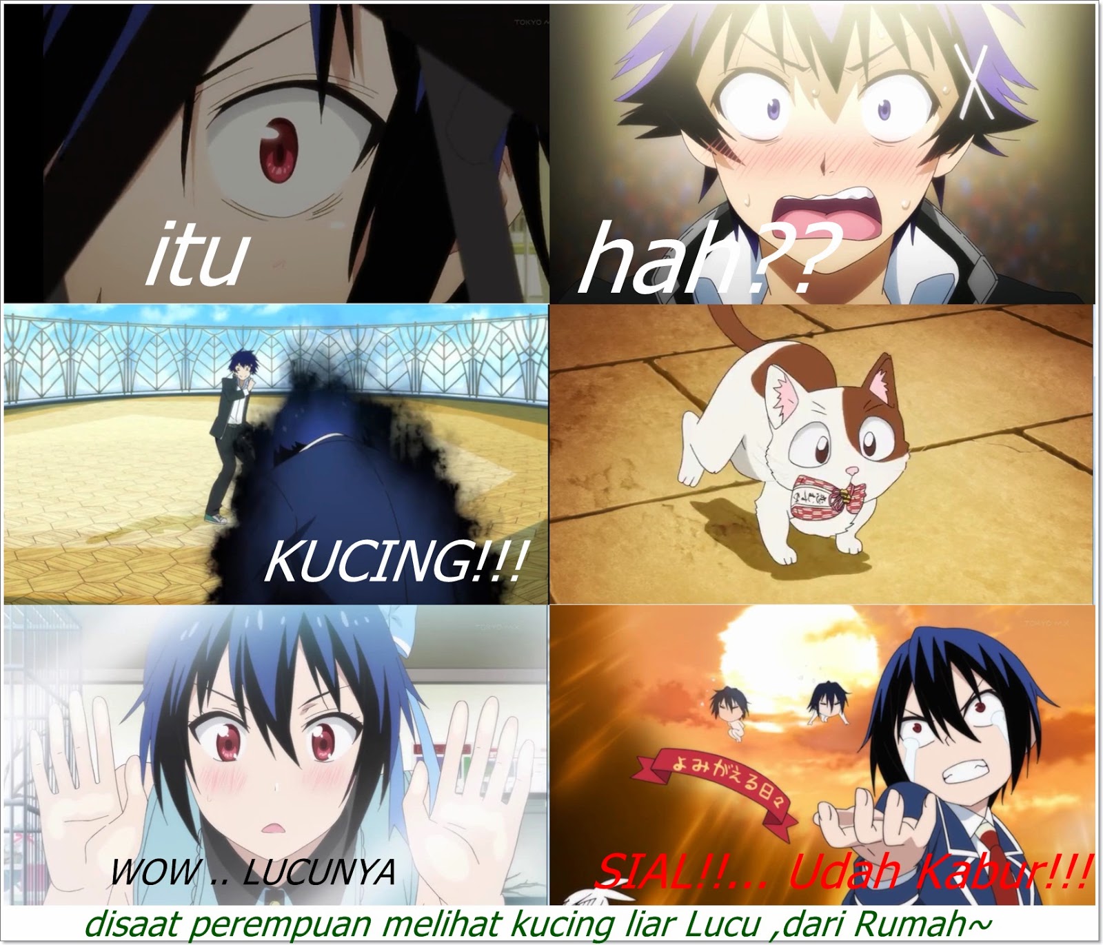 Gambar Meme Lucu Anime Keren Dan Terbaru DP BBM Lucu Kocak Dan Gokil