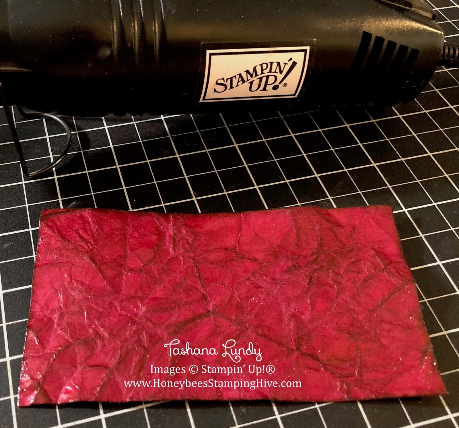 ` Faux Leather 3 Ways with Heat Embossing SBTD March Blog Hop