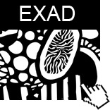 EXAD