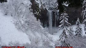Tamanawas Falls in Winter