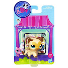 Littlest Pet Shop Singles Siamese (#3573) Pet Littlest Pet Shop Singles Siamese (#3573) Pet