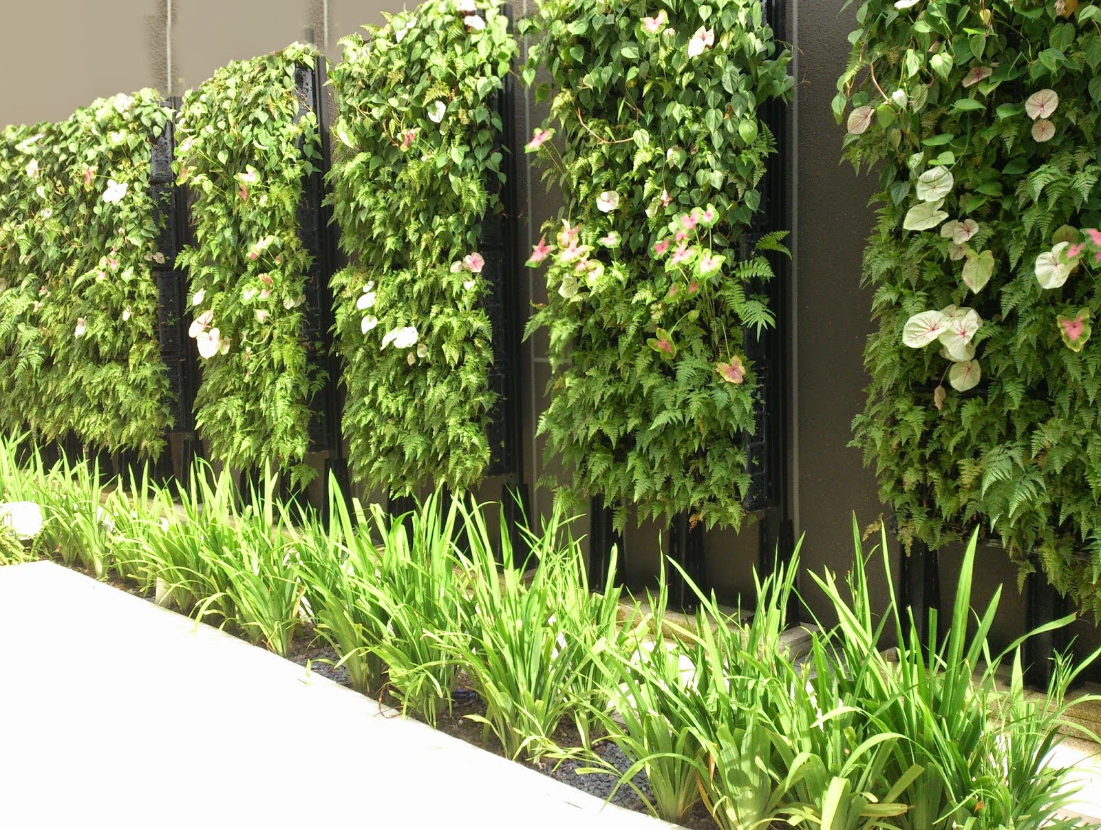 Vertical Garden System for internal and external walls of Commercial