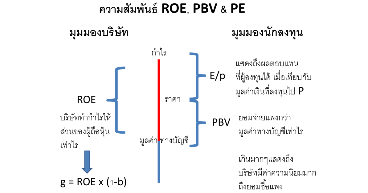 ความส มพ นธ ระหว างroe Pbv Pe