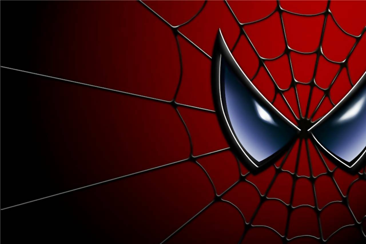 Spiderman wallpaper widescreen |Funny & Amazing Images