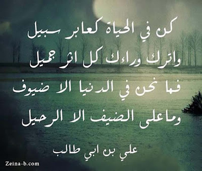 صور حكم وأمثال ، رمزيات مكتوب عليها حكم وأمثال حكم وأمثال سيدنا على بن أبي طالب