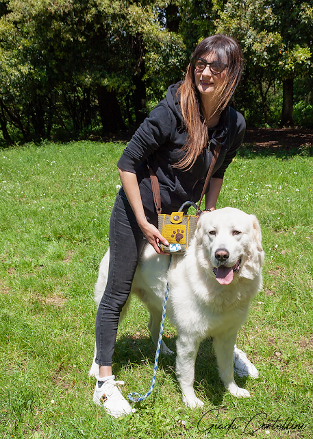 https://www.etsy.com/listing/696674378/dog-training-and-walking-bag-with-poop?ref=shop_home_active_1