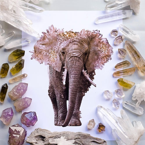 My Owl Barn Collection of Crystal Animals by Australian Artist Patrick