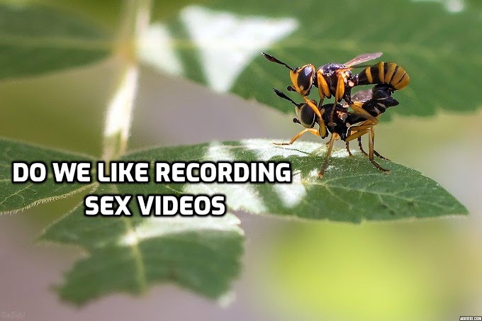 Seks videolarını kaydetmeyi seviyor muyuz?