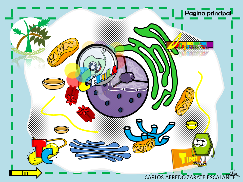 Capitulo I - Introduccion a la Biologia | Biologia - Curso