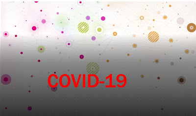 Covid-19 a nomenclatura  cientifica do coronavírus a epidemia do século XXI