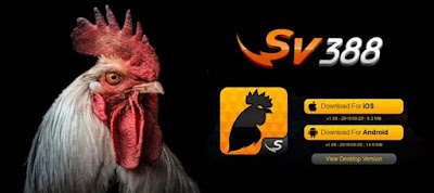 Agen Judi Sabung Ayam Online Sv388 (Sv288) Terbaik