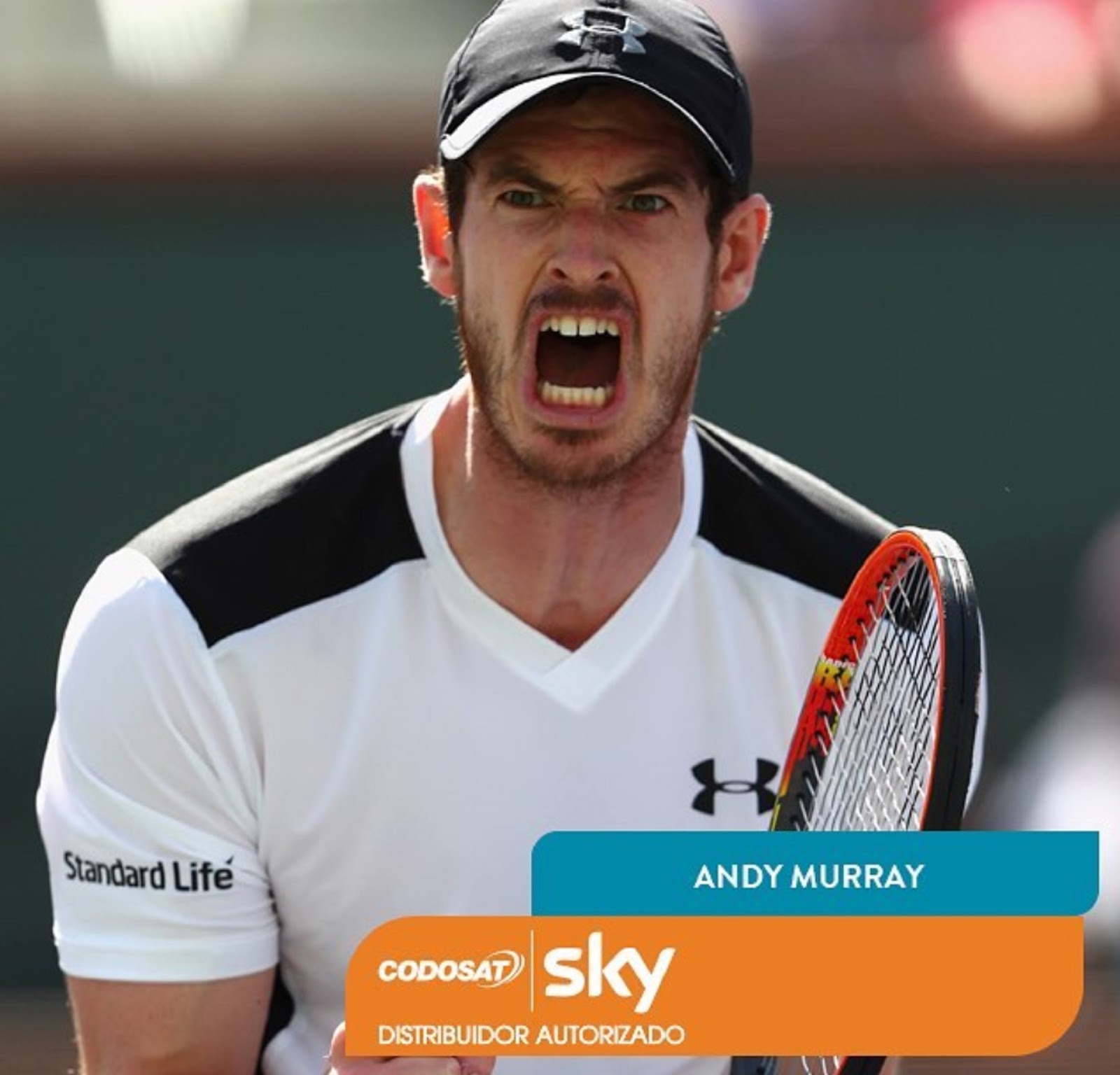 ANDY MURRAY 4