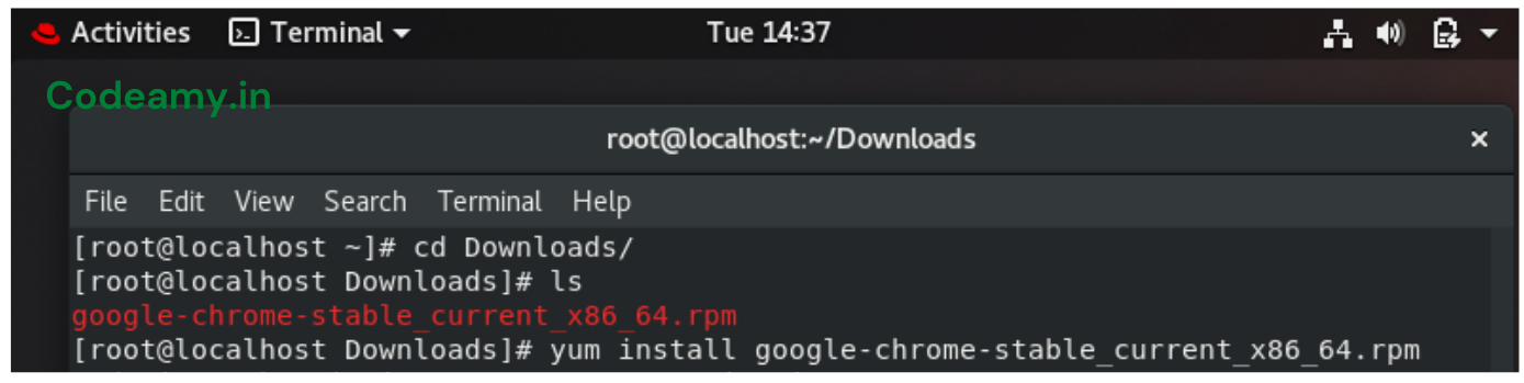 google chrome linux