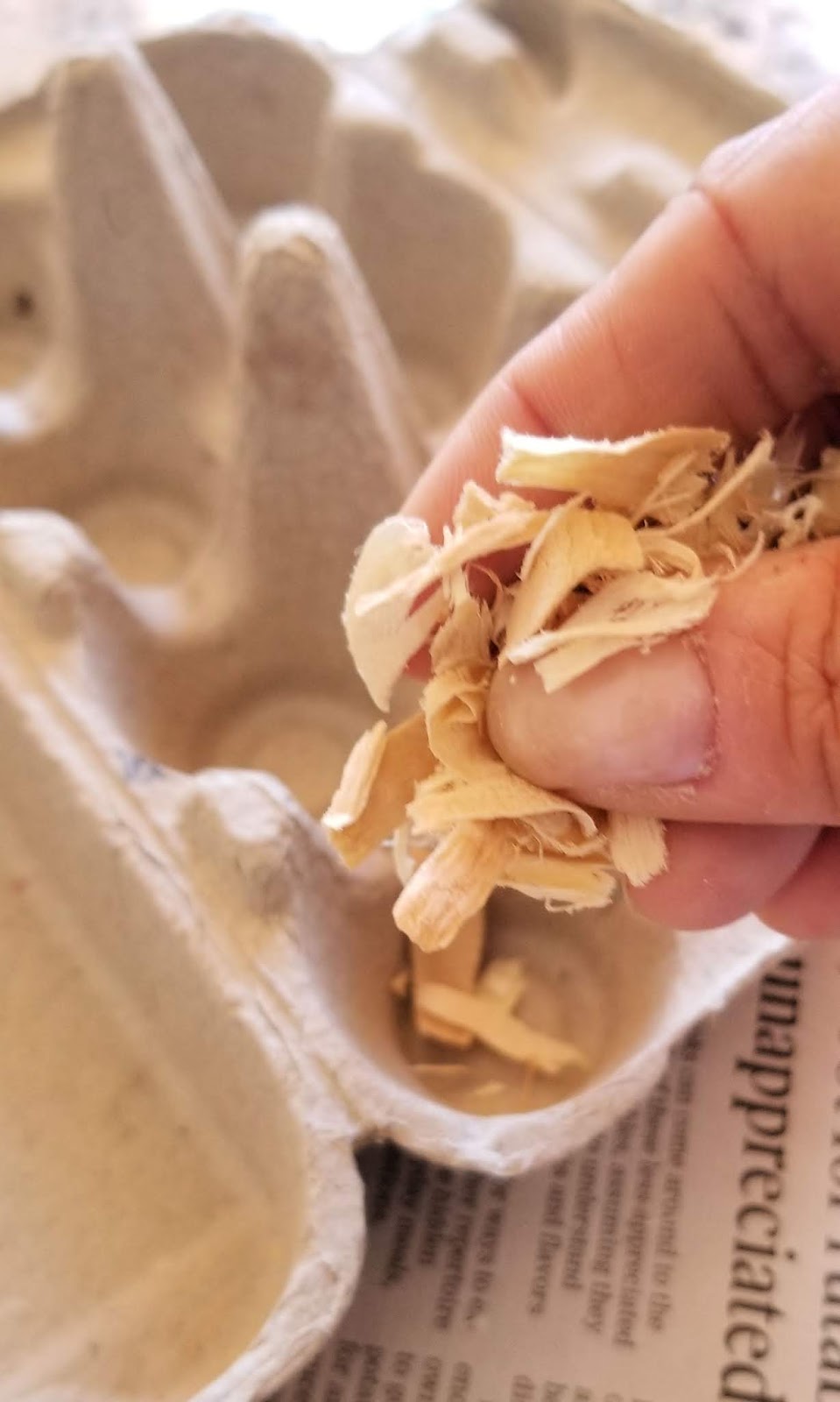 DIY Beeswax Egg Carton Fire Starters Fresh Eggs Daily® with Lisa Steele