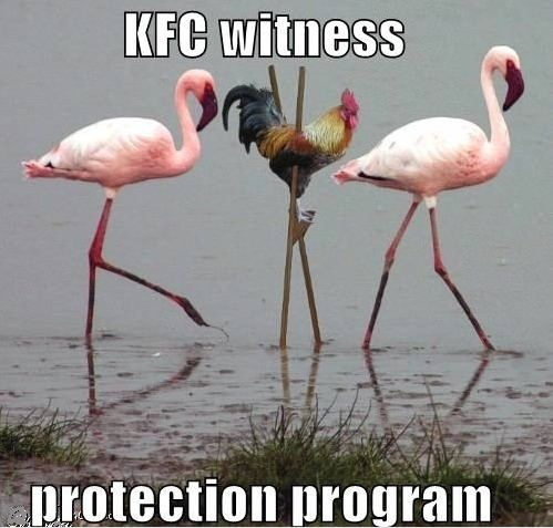 KFC Witness Protection Program