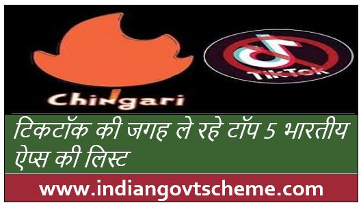 apps are replacing Tiktok