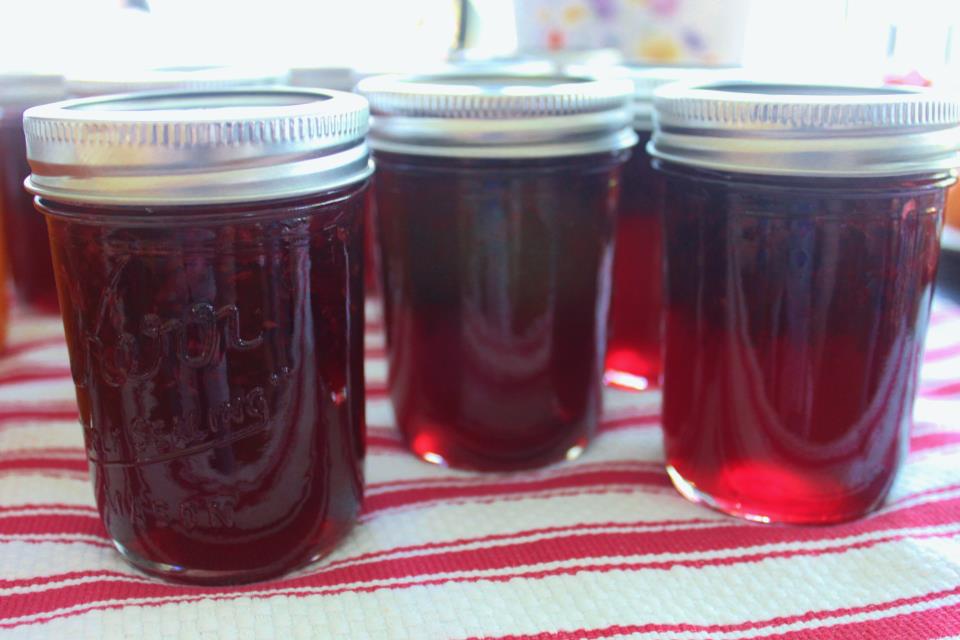 Canning Homemade! Basic Jam Canning Simple Fruits