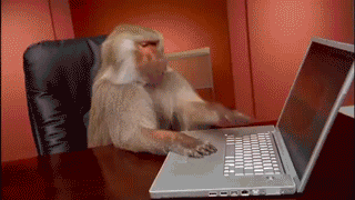 monkeyprogrammer.gif